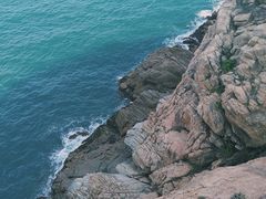 -广东惠东海龟国家级自然保护区