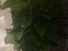 -梅花香里大酒店(郁金香路店)