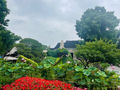 -无锡蠡湖国家湿地公园-蠡园