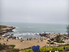 -广东惠东海龟国家级自然保护区