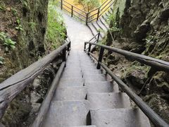-茅兰沟国家森林公园