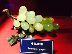 -中国地质大学逸夫博物馆