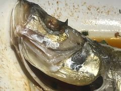 -北京广电国际酒店