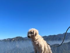 -终南山南五台景区