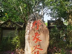 -野象谷景区