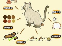 -纳吉亚猫专科动物医院博雅分院