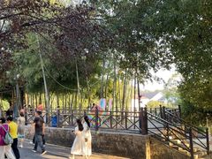 -山乡巨变第一村-周立波故居