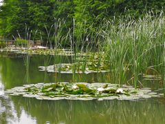 -白塘生态植物园