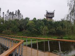 -东郊湿地公园