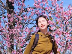 -抱犊寨风景区