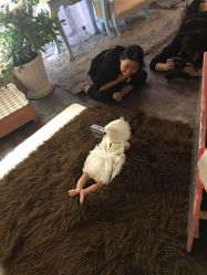 -星宝贝儿童摄影