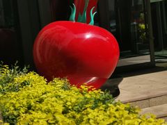 -Tomato&Pepper法餐厅