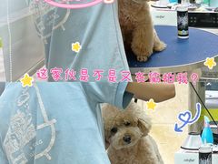 -瑞鹏宠物医院·夜间急症·心超·猫科(祖庙分店)