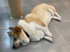 -阿木舂记·特色小吃(平江路店)