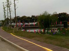 -大塘金香草谷