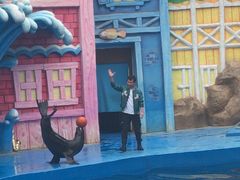 -华夏文旅海洋公园