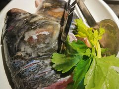 -大鱼山房鱼头火锅(老字号品质店)