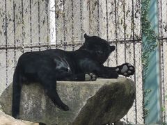-上方山森林动物世界