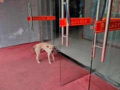 -红色娘子军纪念园