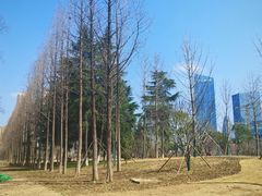 -后襄河公园