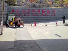 -青藏高原野生动物园