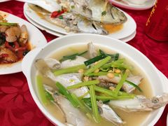 -蛇口康乐快餐鱼仔档(翠苑小区店)