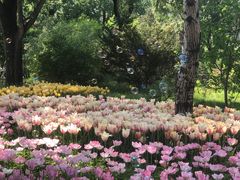 -国家植物园南园