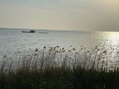 -滆湖低碳生态公园