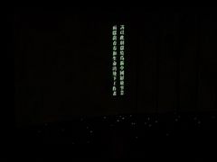 -合肥大剧院