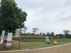 -同里国家湿地公园