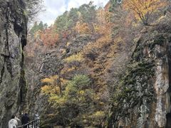 -茅兰沟国家森林公园