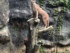 -杭州野生动物世界