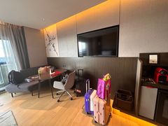 -新加坡瑞士史丹福酒店