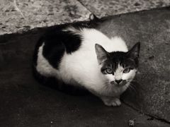 -甜心(广厦街店)