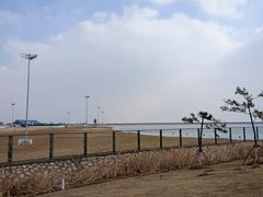 -鹦鹉洲湿地公园