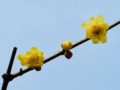 -月坛公园