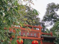 -望江楼公园