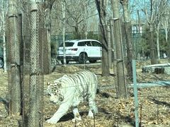 -秦皇岛野生动物园