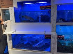 -鱼痴渔醉·食鲜集(月亮湾店)
