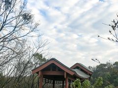 -岳麓山风景名胜区