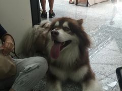 -东浩兰生上海世博展览馆