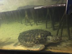 -苏州海洋馆