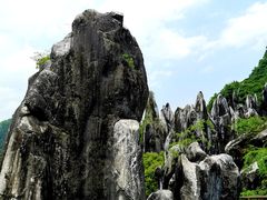 -玉石林风景区