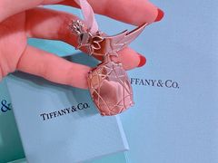 -Tiffany & Co.(银座本店)