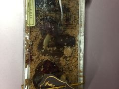 -红跑车蛋糕世界(清江路店)