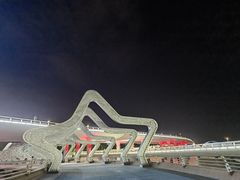 -演武大桥观景平台