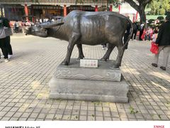 -广东圆玄道观