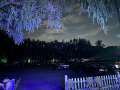 -枫花园汽车电影院(朝阳公园店)