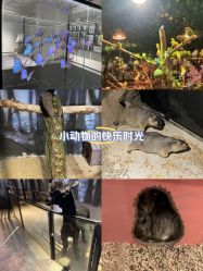 -酷嗒动物文化乐园(cutezoo西溪乐天城店)