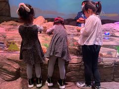 -沈阳海洋探索中心